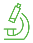A simple green line drawing of a microscope. Description generated by AI