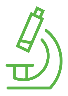A simple green line drawing of a microscope on a white background. Description generated by AI